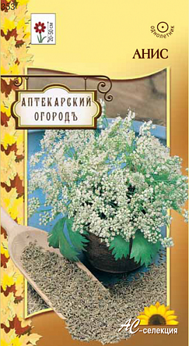 Анис