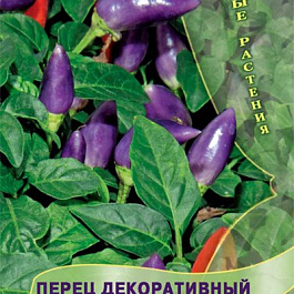 Перец декоративный Филиус Блю