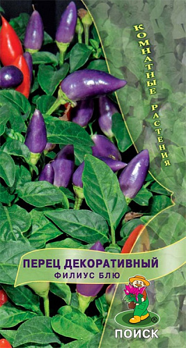 Перец декоративный Филиус Блю