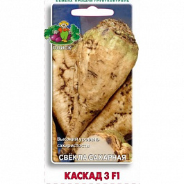 Свёкла сахарная Каскад 3 F1