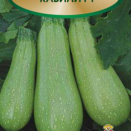 Кабачок Кавили F1