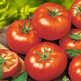 Томат Армада F1