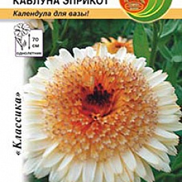 Календула Каблуна Эприкот