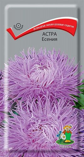 Астра Есения