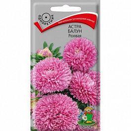 Астра Балун Розовая