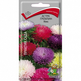 Астра гремлин Микс