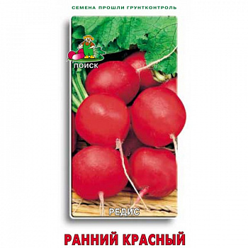 Редис Ранний красный