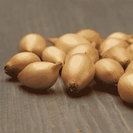 Лук-севок Стурон