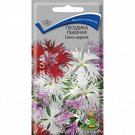 Гвоздика пышная Смесь окрасок