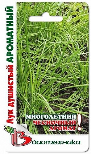 Лук Душистый Ароматный
