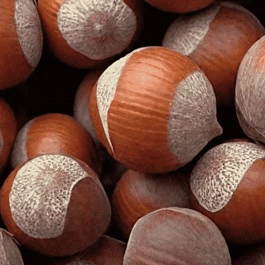 Фундук Tonda Romana