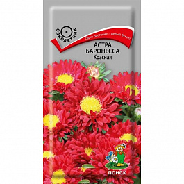 Астра Баронесса Красная