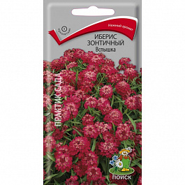 Иберис зонтичный Вспышка