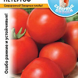 Томат (Помидор) обыкновенный Петергоф