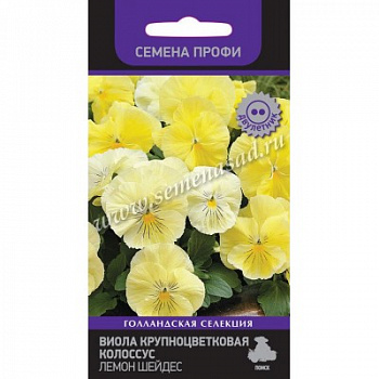 Виола крупноцветковая Колоссус Лемон Шейдес