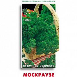Петрушка кудрявая Мооскраузе 2