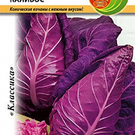 Капуста Краснокочанная Калибос
