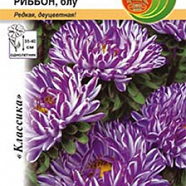 Астра китайская Ribbon Blue