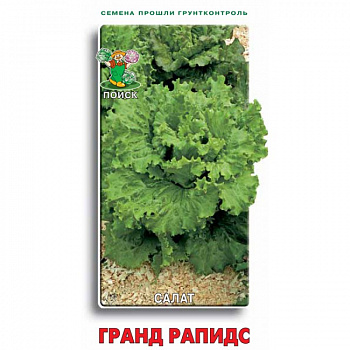 Салат Гранд Рапидс